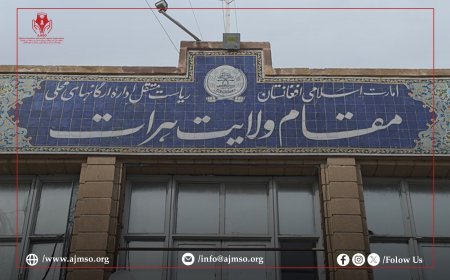 د هرات ولایت له معاون سره د افغان خبریالانو او رسنیو د ملاتړ بنسټ (AMSO) د رییس لیدنه 