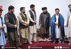 بلخ کې د افغان خبریالانو او رسنیو د ملاتړ بنسټ ولایتي استاز معرفي شو